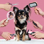 MimoPet™ - Kit Maquina Cortadora de Pelo para Mascotas