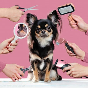 MimoPet™ - Kit Maquina Cortadora de Pelo para Mascotas