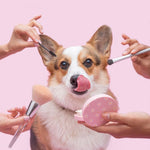 MimoPet™ - Kit Maquina Cortadora de Pelo para Mascotas